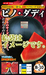 �s�m�E�_�f�B(�}�C�N���V�[�h�^�C�v)��q100������