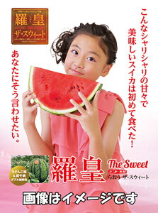 XCJ@cUEXEB[g [q 200] ōvdlA{EB