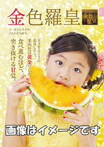 Fc(񂶂炨) [qWEB 5]