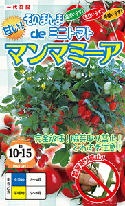 ̂܂de~jg}g}}~[A[q500]