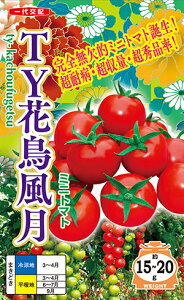 TY�Ԓ�����(�����傤�ӂ�����)[��q500����]