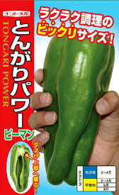 ジャンボピーマン　とんがりパワー[種子小袋20粒入]