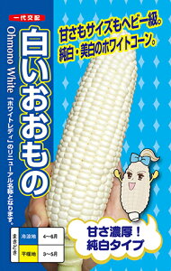 �g�E�����R�V�@������������[��q���� 50����]