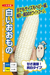 �g�E�����R�V�@������������[��q���� 200����]