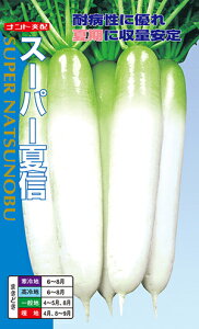 X[p[ĐM(Ȃ̂)[q4ml(130)]