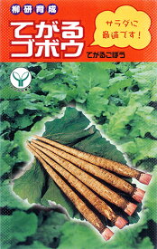 てがる牛蒡 (超極早生の短根タイプ)種子20ml(約700粒)