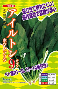 �A�C���g��9 (�t�̐��������t���^)[��q:1dl��]