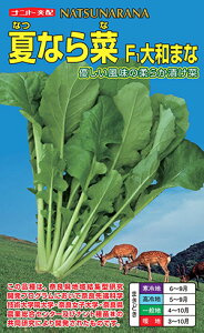 ĂȂ(F1a^)[q5ml(1000)]