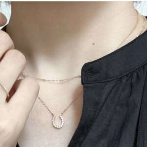 y'25N97xڂ̌ԗDǃVbv܁zn`Xg[lbNXM@fB[X ANZT[ lbNX `[t Vo[ S[h Xg[ n l 킢@z[XV[