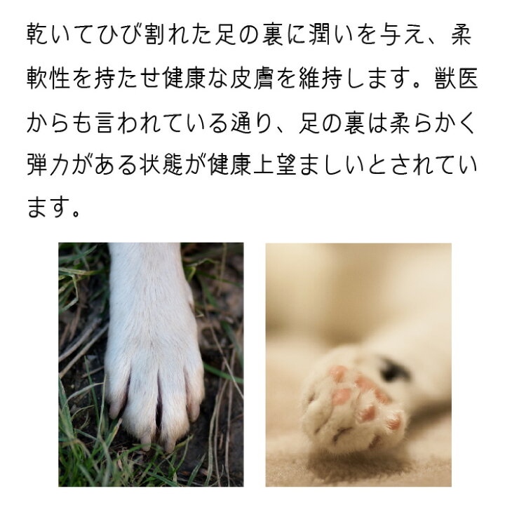 楽天市場 足の裏やタコに プロテクターパッド 月 金曜即日発送 犬猫用 113g 有限会社カチオン 楽天市場 足の裏やタコに プロテクターパッド 月 金曜即日発送 犬猫用 113g 有限会社カチオン
