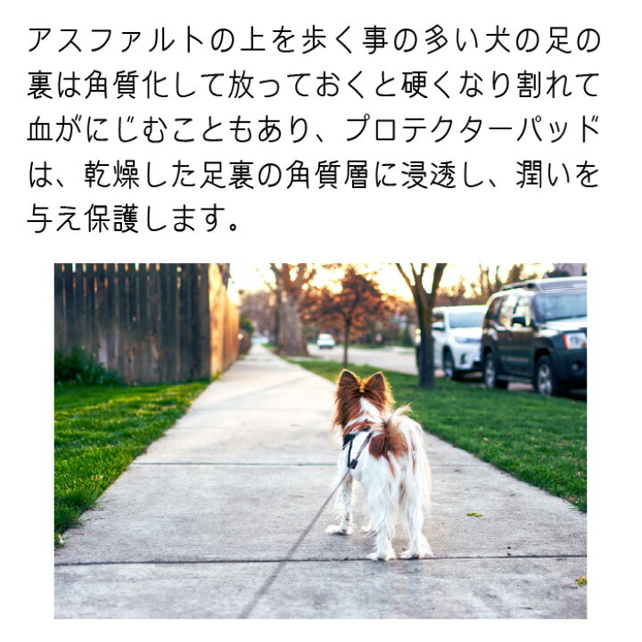 楽天市場 足の裏やタコに プロテクターパッド 月 金曜即日発送 犬猫用 113ｇ 2個セット 有限会社カチオン