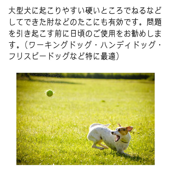楽天市場 足の裏やタコに プロテクターパッド 月 金曜即日発送 犬猫用 113g 2個セット 有限会社カチオン 楽天市場 足の裏やタコに プロテクターパッド 月 金曜即日発送 犬猫用 113g 2個セット 有限会社カチオン