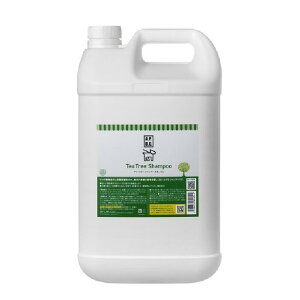 APDC eB[c[Vv[ 5L Ɩp | v킸߂ȂIuӂcvƂ₩ȍ