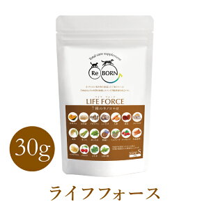 ybgpTvg CttH[X STCY 30gi CPL Ws^[n[g j