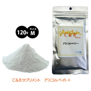 C&R AXRxCg{ MTCY Dꂽr^~C̐ێ挹