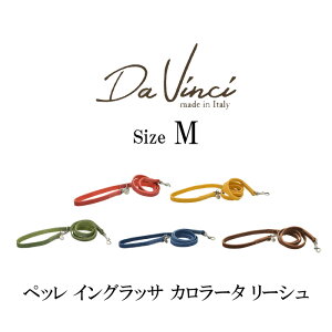 _B` ybCObTJ[^[V110 TCYM | ^E^pṽ[h