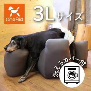 OneAid NbV 3L Jo[Zbg | VjÂ߂̎pPA E뚋h~