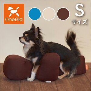 OneAid NbV S | VjÂ߂̎pPA E뚋h~