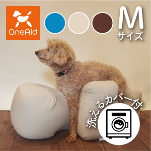 OneAid NbV M Jo[Zbg | VjÂ߂̎pPA E뚋h~