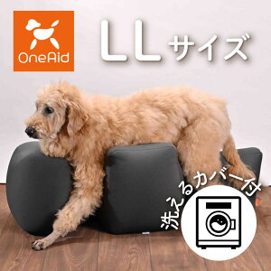 OneAid NbV LL Jo[Zbg | VjÂ߂̎pPA E뚋h~