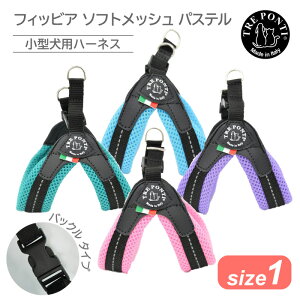 g|eB tBbrA \tgbV pXe TCY1 | ^pn[lX