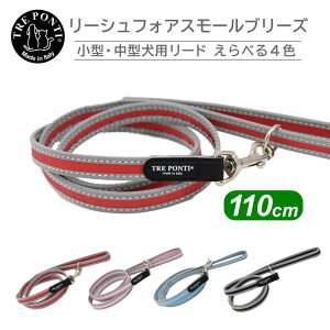 g|eB [V tHA X[ u[Y tNeBu | ^E^p[h