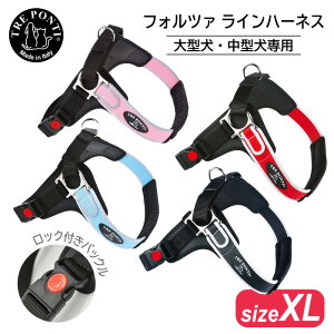 g|eB tHc@ C n[lX TCYXL | ^E^pn[lX