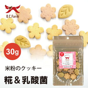 I[V[t@[ RYƕĕ̃NbL[`_ہ` | S̃Oet[ qłHׂ₷ł