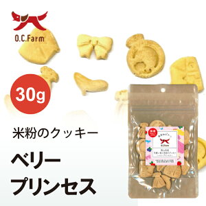 I[V[t@[ RYƕĕ̃NbL[`x[vZX` | S̃Oet[ qłHׂ₷ł