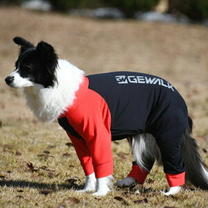 GEWALK dq p[X TCYXL | ԊOŉ߂H~hbOEFA