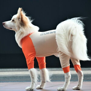 GEWALK dq p[X TCYXXL | ԊOŉ߂H~hbOEFA