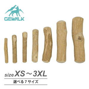 GEWALK hbO `E XeBbN R[q[ c[ | Y̖؂̂
