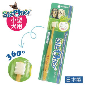 roebN VO ^p 360°uV | ̎̌N̂߂Ɏ݂Ńf^PA