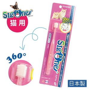 roebN VO Lp 360°uV | L̎̌N̂߂Ɏ݂Ńf^PA