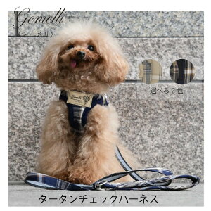 Gemelli ^[^`FbNn[lX TCYXXS`M | ^E^pn[lX