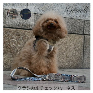 Gemelli NVJ`FbNn[lX TCYXXS`M | ^E^pn[lX