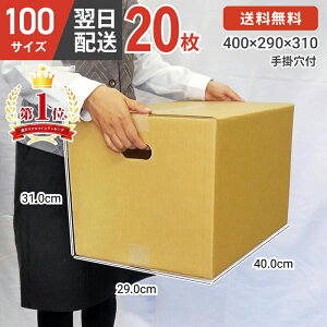 ダンボール 段ボール 箱 ダンボール 段ボール 手掛け穴 手掛穴付 持ち手 100 100サイズ 宅配100 20個 茶 引越し 引っ越し 移動 収納 保管 メルカリ フリマ 通販 個人通販 ボックス 梱包 宅配 佐川