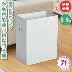 ダンボール ゴミ箱 2個 3個 ダストボックス 段ボール 45L 45リットル ごみ箱 ごみばこ ゴミばこ 頑丈 軽量 軽い おしゃれ かわいい 白 ホワイト インテリア スリム 分別 家庭 子供部屋 キッチン 屋外 屋内 BBQ アウトドア イベント 2セット 3セット
