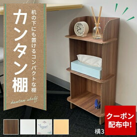 【クーポン配布中】【1000円ポッキリ】 かんたん棚（ライト） 棚 ラック 収納 簡易 かんたん ダンボール 段ボール 家具 軽量 軽い 子供 子供部屋 イベント 野外 屋内 屋外 スリム おしゃれ かわいい エコ 木目 さかな シェルフ マルチラック インテリア ディスプレイ