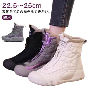 Xm[u[c fB[X h g y Xm[V[Y h u[c h ~  lC hC AEghA ʊw ʋ  N ~C C [gu[c V[gu[c nC