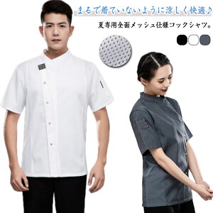 HX HX Ɩp HX ebV  ʋC   ~[ ~[   JtF jp Xg     Y fB[X ėp p