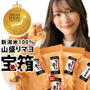 yō] Ov܁z󂠂 AEgbg I R }  }l[Y  ~j} ×4  Wpt[hZNV yz V  