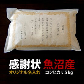 世界一重い感謝状 誕生日 ギフト 名入れ 送料無料 サプライズ 名入れ 感謝状 コシヒカリ 新潟 魚沼産 5kg （5キロ）令和6年度産 お米ギフト 窒素置換パックでお届け