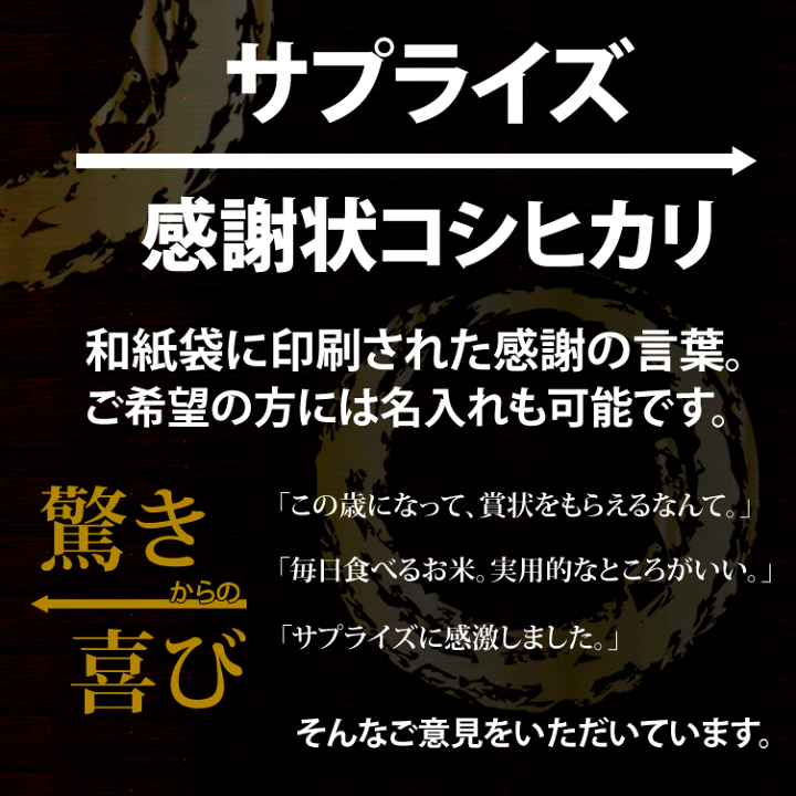 楽天市場】世界一重い感謝状！？ サプライズ 名入れ 感謝状