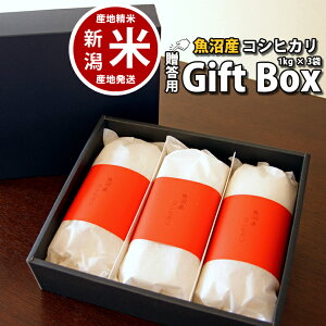 Ε ~Mtg VēׁylΉzj Mtg  Y p  ăMtg RVqJ 3kgi1L*3܁jߘa7NxY lߍ킹 iێp̒fupbN