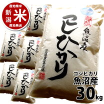 楽天市場】魚沼産コシヒカリ30kgの通販