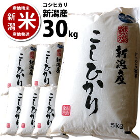 楽天市場 コシヒカリ 30キロ 新米の通販 楽天市場 コシヒカリ 30キロ 新米の通販