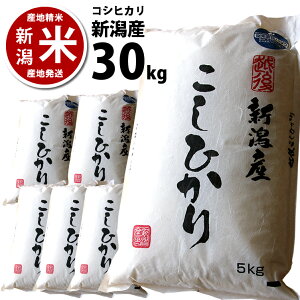y܂ƂߔzyVēׁzč VY RVqJ 30kg i5kg*6j 30L ߘa7NxY VĂЂ ܂ƂߔłS̒fupbN܂