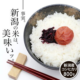 【送料無料】引っ越し ご挨拶 お試し 新潟産 コシヒカリ こしひかり ギフトにも使える 和紙袋 800g メール便 令和7年度産【新潟 加藤製菓】【 あられ おかき 】