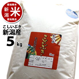 【あす楽】新潟県産 こしいぶき 5kg 新潟米 令和3年度産 本州送料無料 ※ 品質保持用の窒素置換パック代金含む